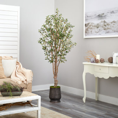 78 po olivier artificiel en pot