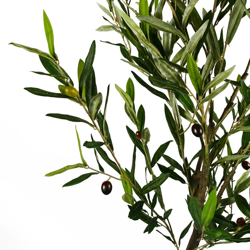 Anlin 170cm Faux Olive Tree in Pot