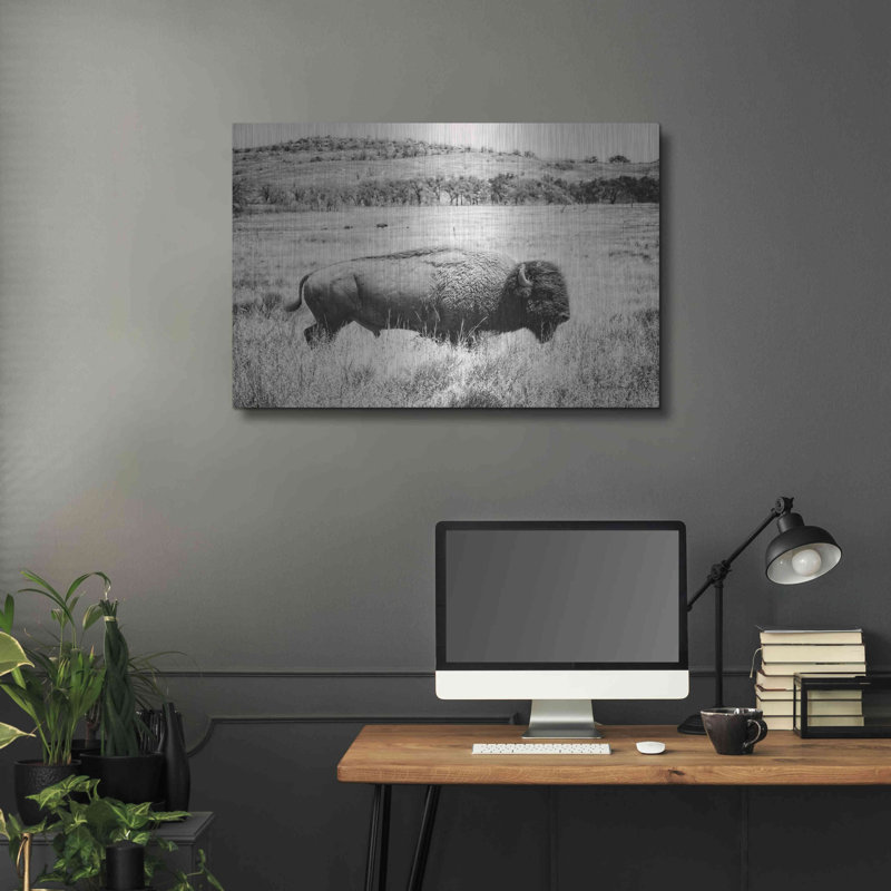 "Buffalo I BW" par Debra Van Swearingen, H 24 po x l 36 po