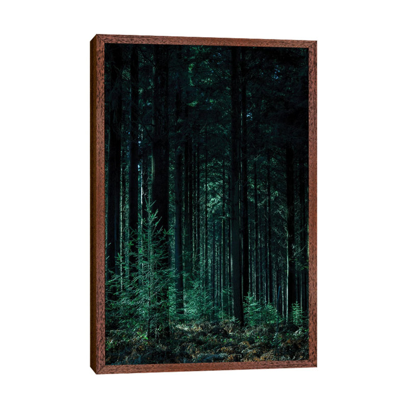 Deep Green - Print on Canvas, Classic Brown Wood Framed, 66.04 cm H x 45.72 cm W