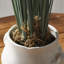 Herbe artificielle 35 po Queensland