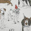 Kennel Pillow Cover & Insert-880798834