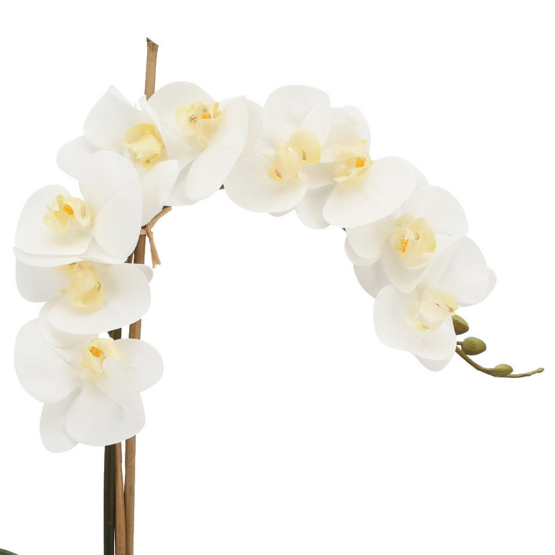 Phalaenopsis Orchid With Bamboo In Glass Vase