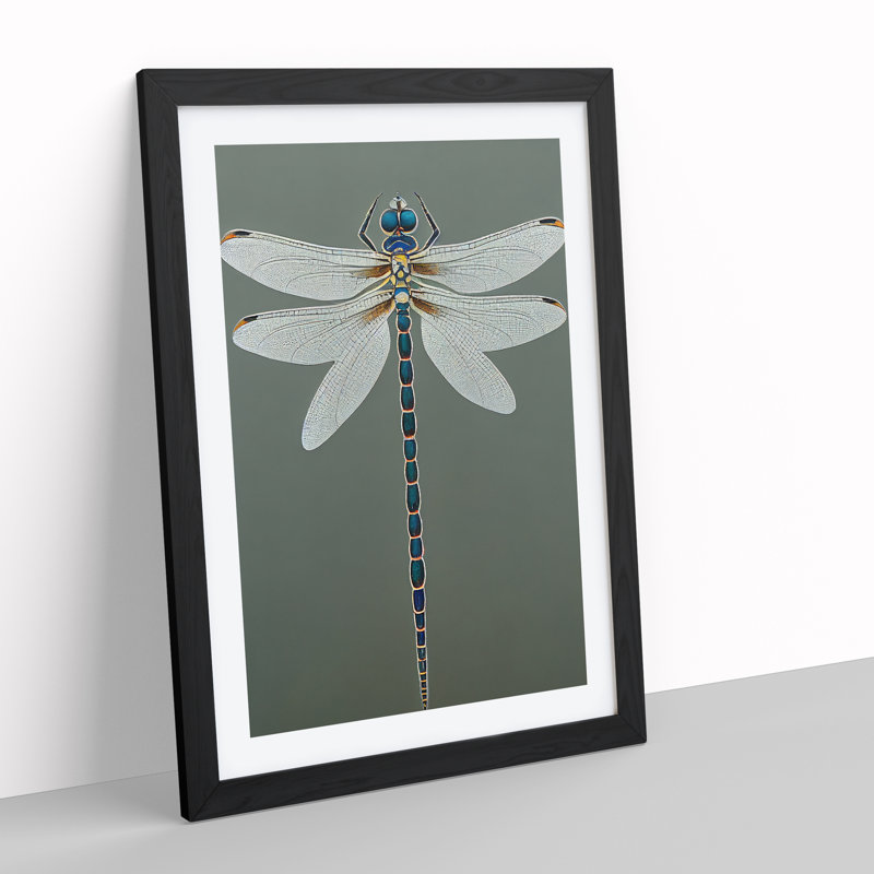 Breathtaking Dragonfly - Framed Print, Black, 64cm H x 46cm W x 2cm D