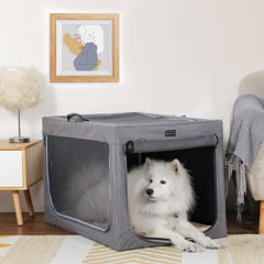 Wayfair  Medium (25 - 50 Lbs) Dog Carriers You'll Love in 2024