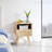 Hastin 15.77'' W Nightstand-628304725