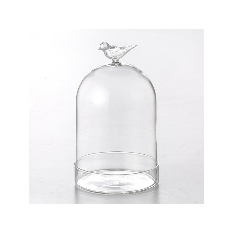 Dôme en verre avec oiseau Nailwell, H 9,5 po x l 5,5 po x P 5,5 po