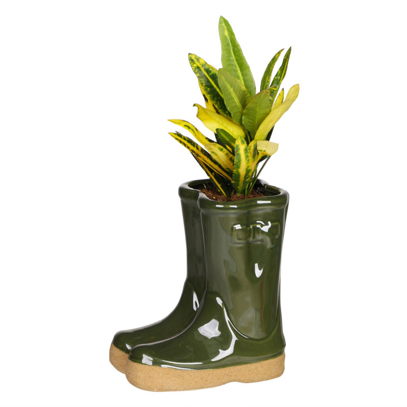 Carlson Ceramic Pot Planter, 17cm H x 15cm W x 10cm D, Dark 
