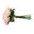 Rose est en rupture de stock