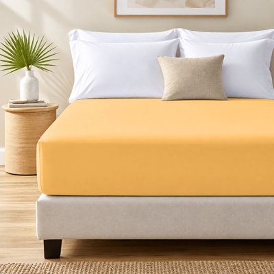 Paul's Microfibre Super Soft Brushed Deep Fitted Bed Sheet