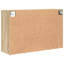 Shoe Cabinet-307641254