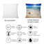 Coussin Large Seashell In The Sand II - imprimé nautique et côtier-1374404855