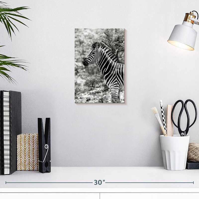 BW Portrait of Burchell's Zebra II, H 12 po x l 8 po