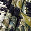 Tapisserie murale «Fruit Elderberry»-133640792