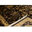 Chantel Hand Woven Silk and Wool Oriental Area Rug