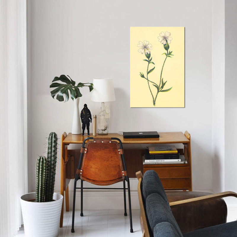« silene vulgaris », reproduction sur toile, H 12 po x l 8 po x P 0,75 po, Pas de tapis, Toile tendue