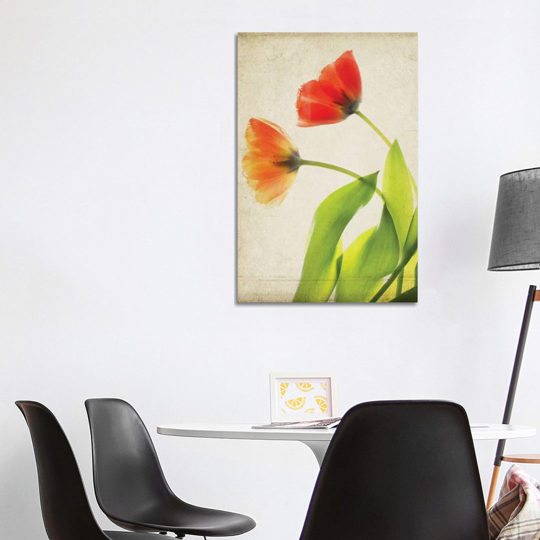 Pergamentblumen VI von Judy Stalus - Galerie-verpackte Leinwand Giclée auf Leinwand