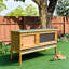 Yellow Rabbit Cage With Waterproof Asphalt Shingle Roof - Version Fir Wood Construction