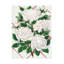 Reproduction d'art botanique sur toile "Rose botanique", Baltimore Belle-103094935
