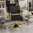 Hydraulic Salon Chair - 360° Swivel Barber Stylist Chair With Pump, Non-Tilting Hairdressing Chair For Hair Salons, Tattoo & Beauty Spa (Professional Stylist Equipment)(Black+Gold)