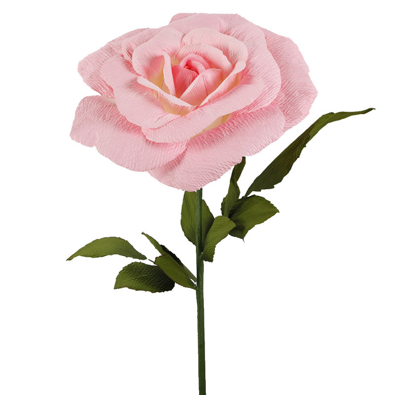 Rose avec autocollant, Rose