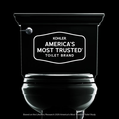 Réservoir Wellworth GPF, brut