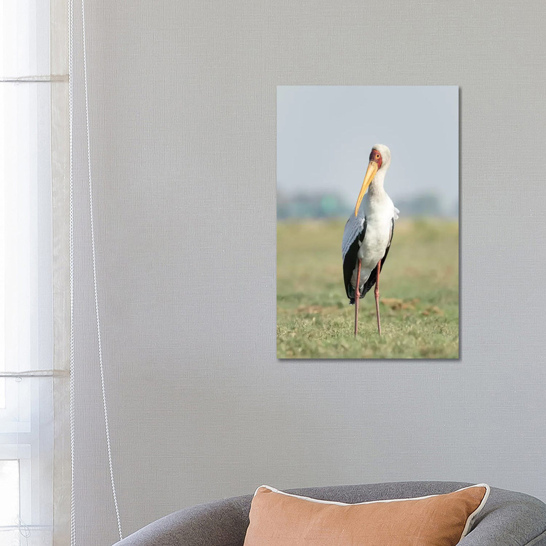 Africa, Botswana, Chobe National Park. Billed Stork Close-Up by Jaynes Gallery - Wrapped Canvas Print