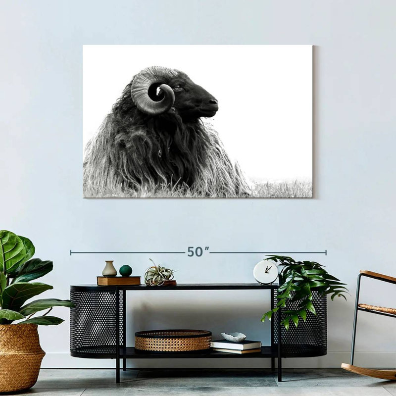 Brampt Bighorn Ram, 30" H x 45" W