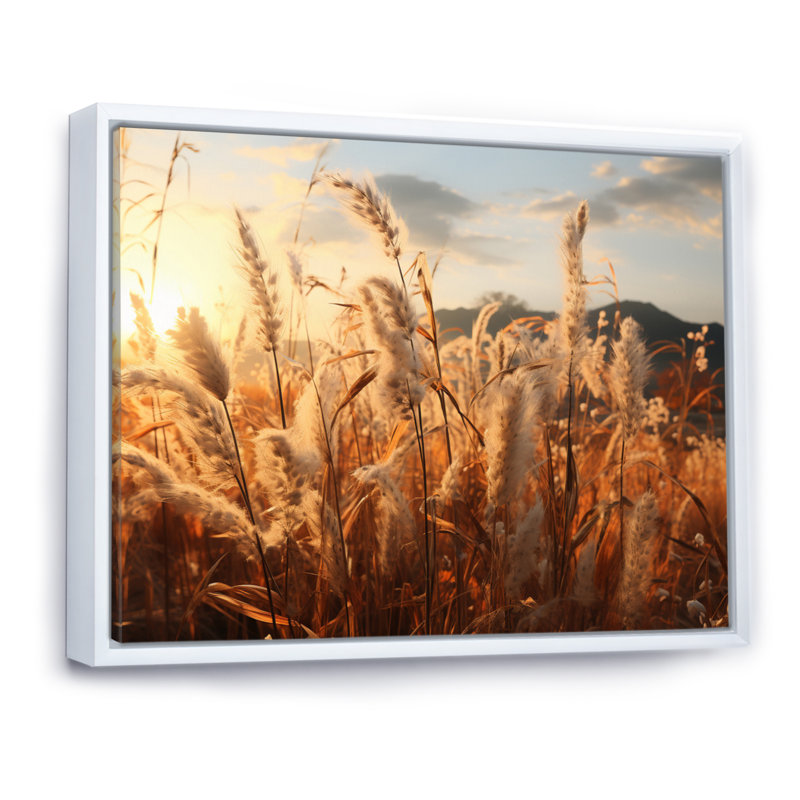 Beige Herbs Field II - Landscapes Canvas Art Print, H 34 po x l 44 po x P 1,5 po, Cadre flottant blanc