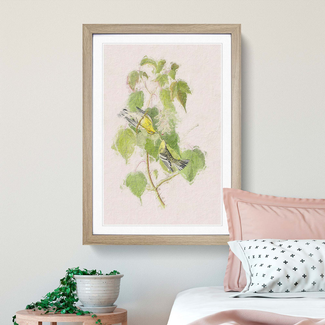 Hemlock Warbler by John Audubon - Picture Frame Painting Print