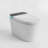 Smart One-Piece Toilet