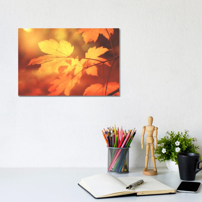 Autumn Leaves Have Arrived 1 Piece Wall Art on Canvas