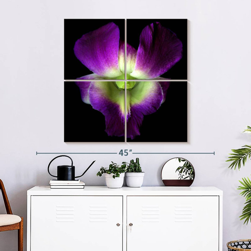 Orchidée Harnek Solo, H 32 po x l 32 po