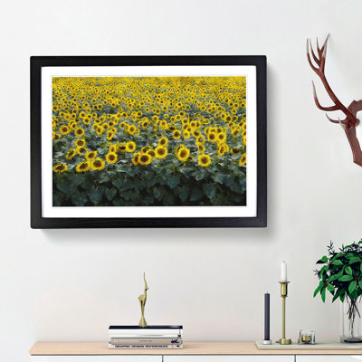 Field of Yellow Sunflowers - Picture Frame Graphic Art Print