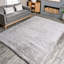 Tapis à poil long gris clair performance de style contemporain Andreanna-426913503