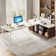 70.87'' Executive Desk and File Storage Cabinet