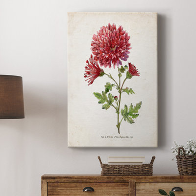 Botanical III - Cavas enveloppés de galerie