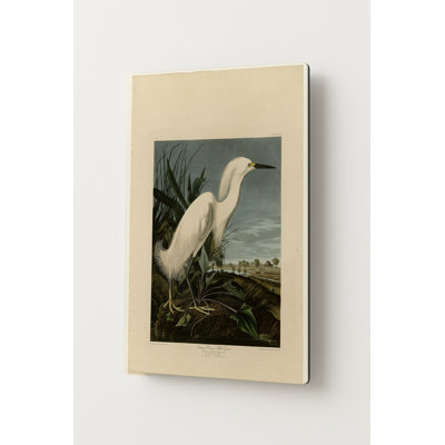 Héron neigeux ou Aigrette blanche (1821) — Portrait en métal