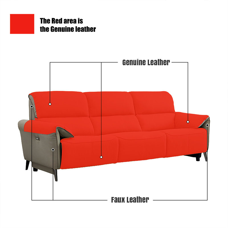 Gray Genuine Leather Standard Sofa cushion couch