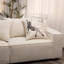 Square Pillow Cover & Insert