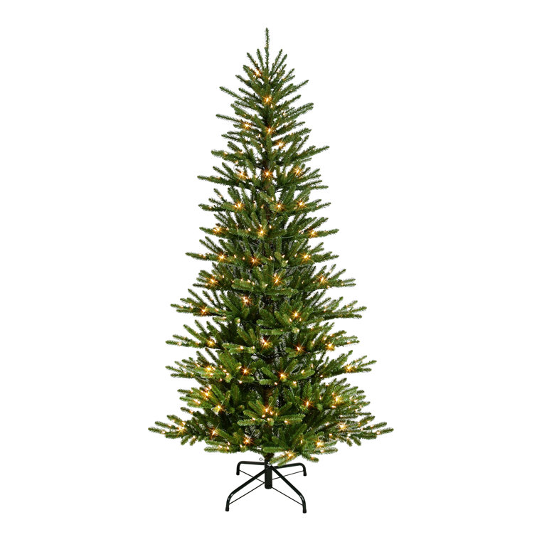 https://assets.wfcdn.com/im/06591042/resize-h755-w755%5Ecompr-r85/2487/248735260/Lighted+Spruce+Christmas+Tree.jpg
