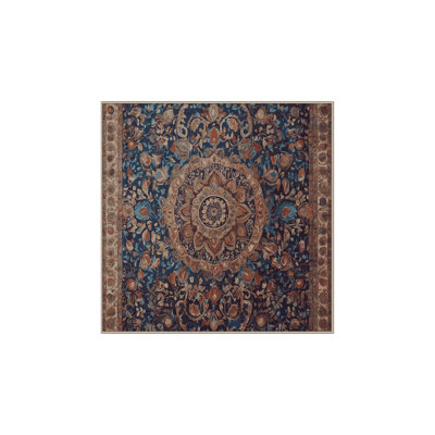 Machine Washable Brown Area Rug