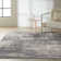 Rush Abstract Indoor Rug