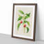 Illustration of Peaches - Picture Frame Painting Print-55579813-55579814
