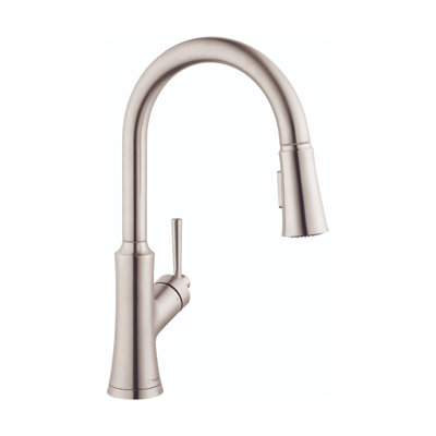 Joleena Pull Down Single Handle Kitchen Faucet