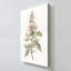 "Flea Market Botanical I" par Carol Robinson, reproduction sur toile-2103793089