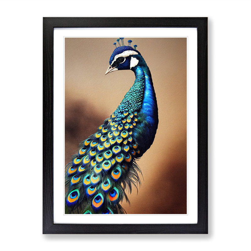 View Of A Peacock No.1 - Single Picture Frame Print, Black, 64cm H x 46cm W x 2cm D