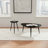 Xander Black Triangular Solid Wood End Table