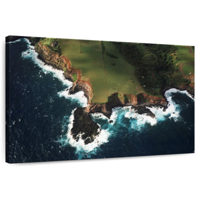 Nicci Maui Coastline