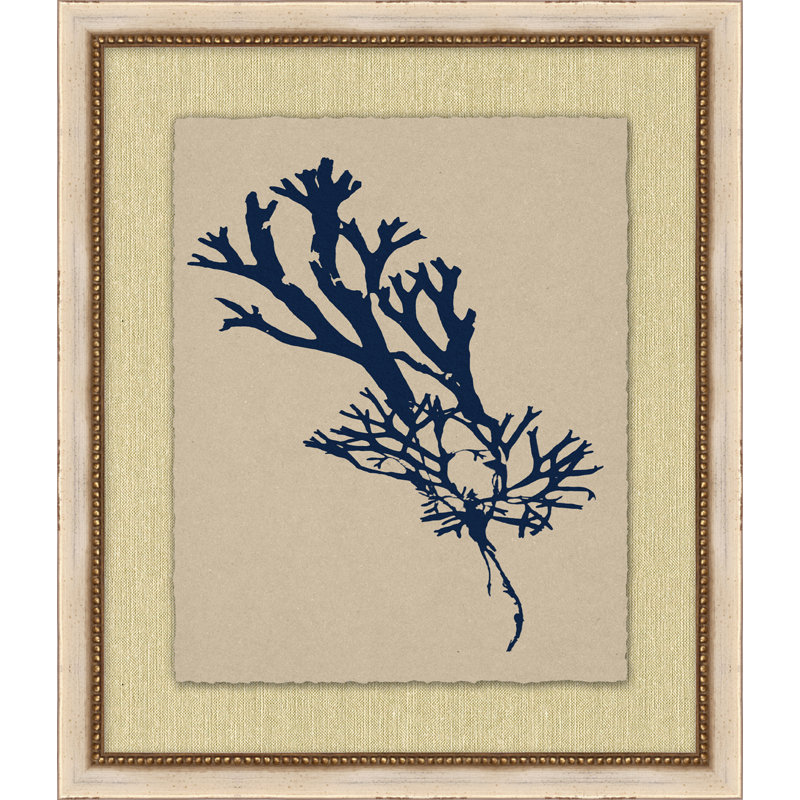 Small Navy Sea Fan 5 Print